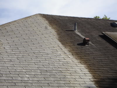 ROOF CLEANING COMPANY IN THE DMV Metro area